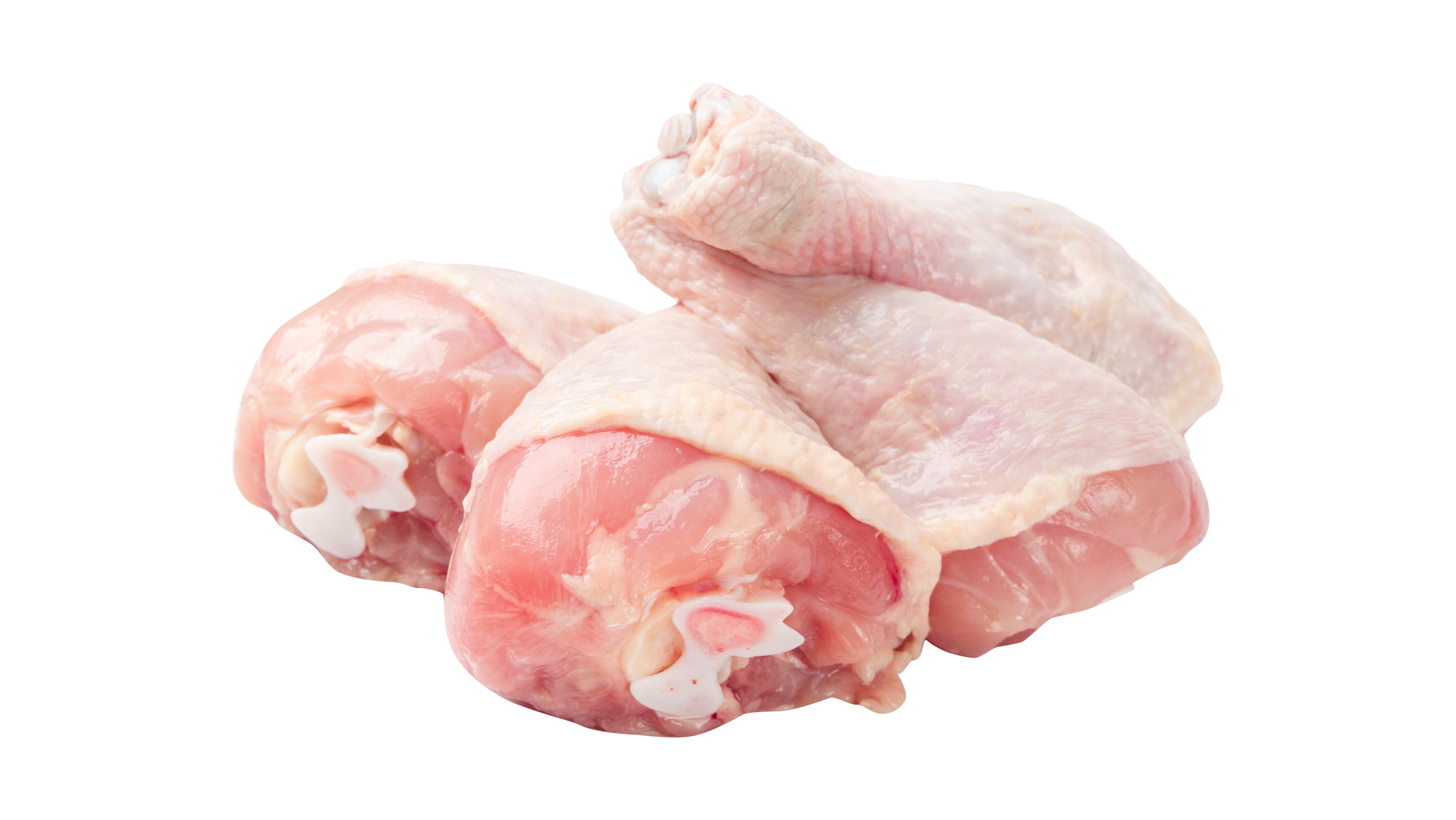 Chicken Drum Stick