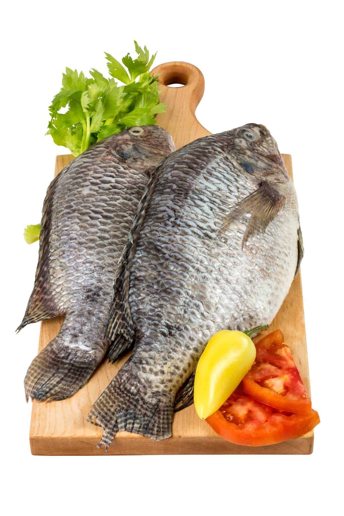 Fish