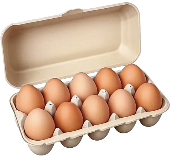 Farm Fresh Eggs (Dozen – 12 Eggs)